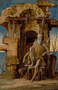 Sankt Jerome i vildmarken